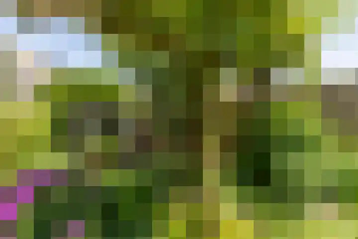 Drenthehof 26 Helmond thumbnail 38