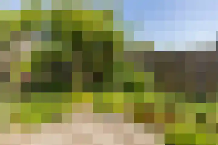Drenthehof 26 Helmond thumbnail 39
