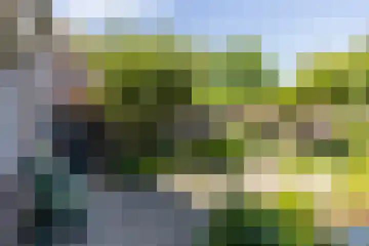 Drenthehof 26 Helmond thumbnail 41