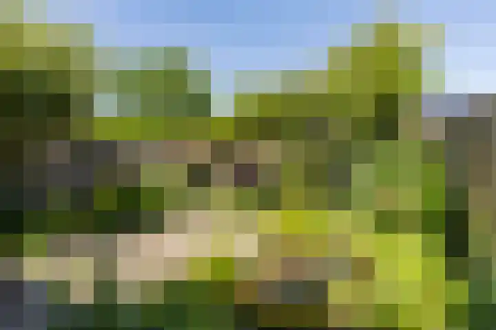 Drenthehof 26 Helmond thumbnail 43