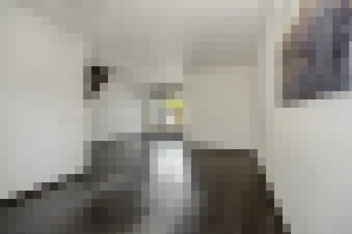 Drenthehof 33 Helmond thumbnail 13