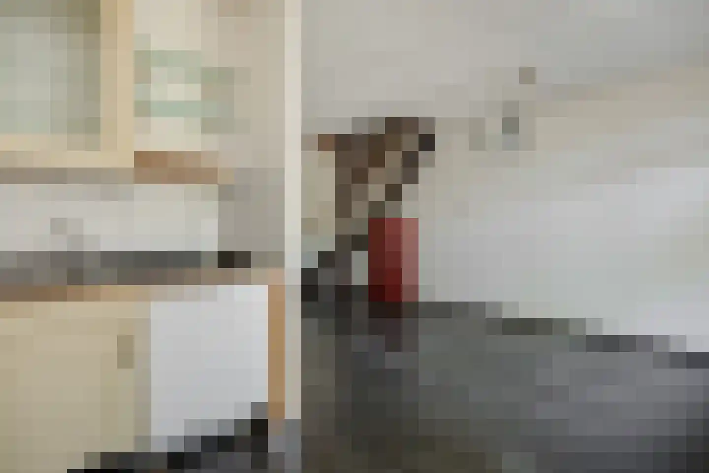 Drenthehof 33 Helmond thumbnail 15