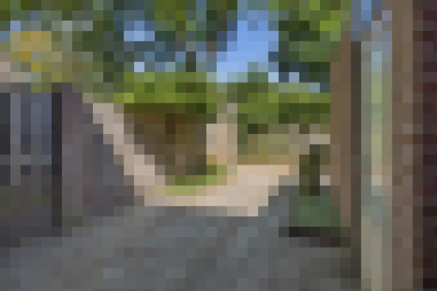 Drenthehof 33 Helmond thumbnail 26