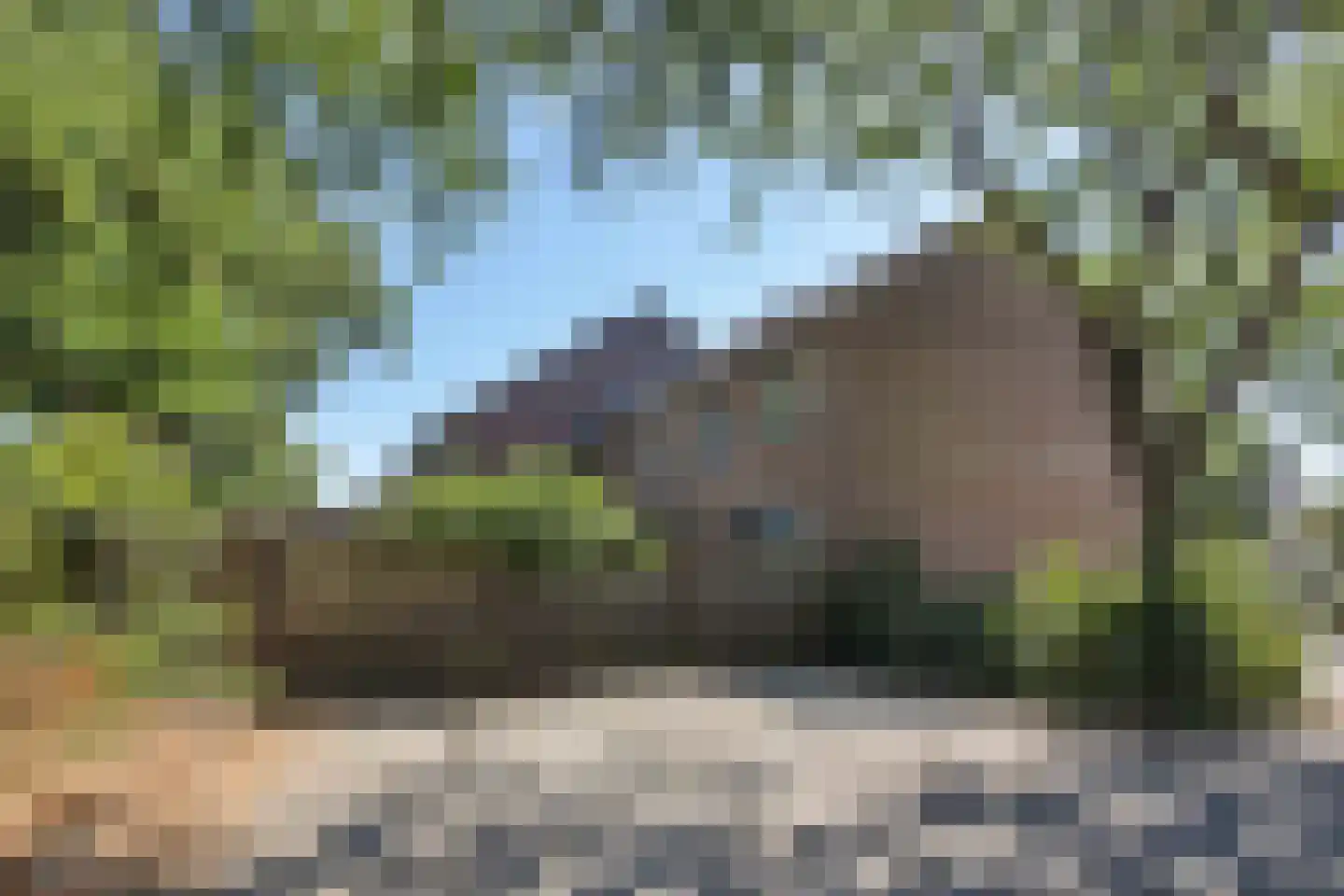 Drenthehof 33 Helmond thumbnail 30