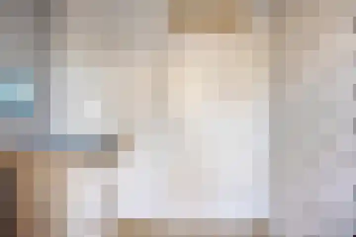 Drenthehof 43 Helmond thumbnail 36
