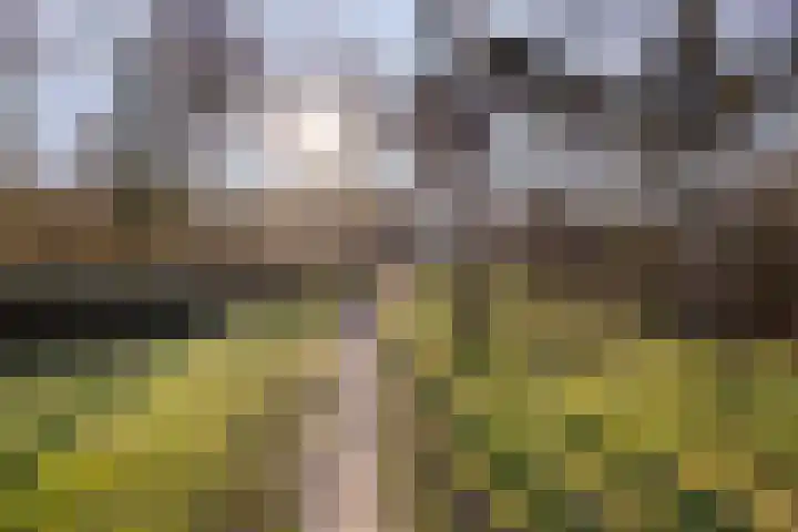 Drenthehof 43 Helmond thumbnail 54