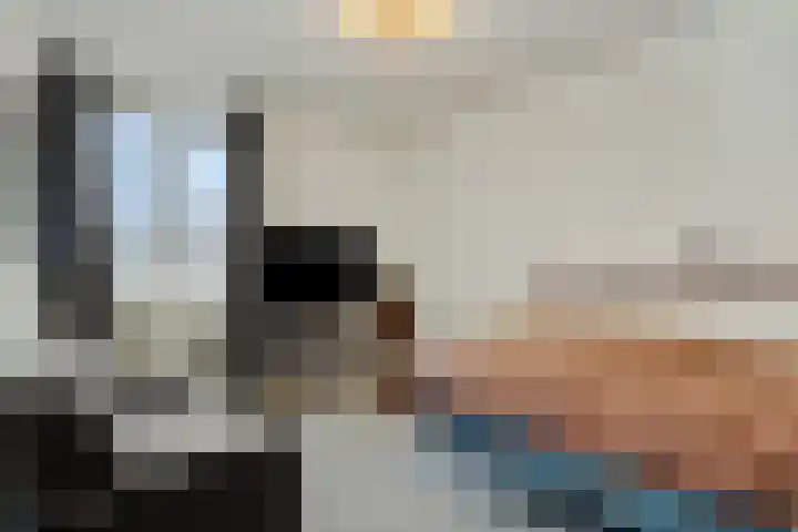 Drenthehof 49 Helmond thumbnail 24