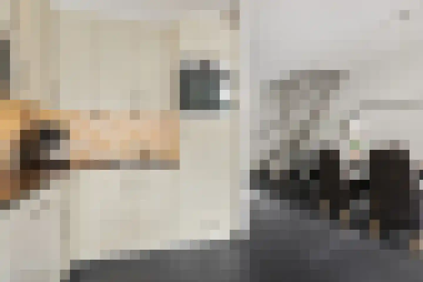 Drenthehof 63 Helmond thumbnail 22