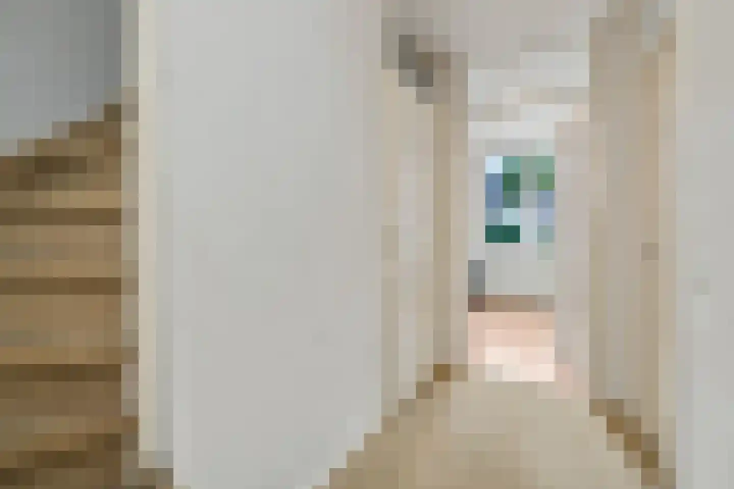 Drenthehof 63 Helmond thumbnail 27