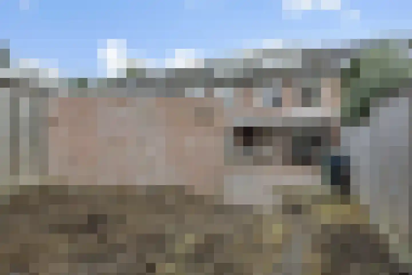 Drenthehof 63 Helmond thumbnail 39