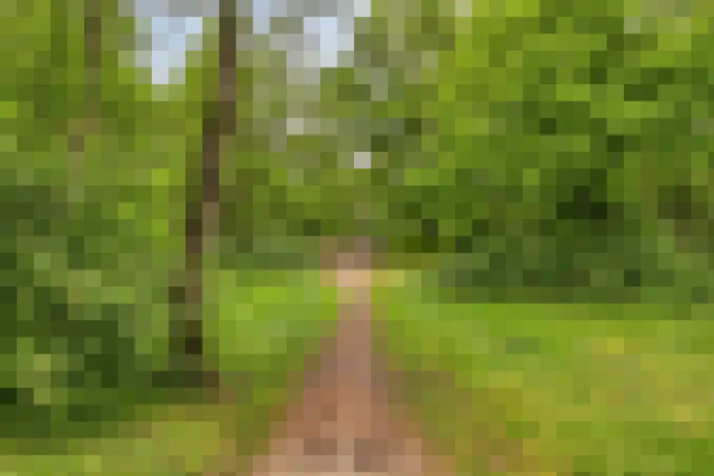 Drenthehof 73 Helmond thumbnail 28