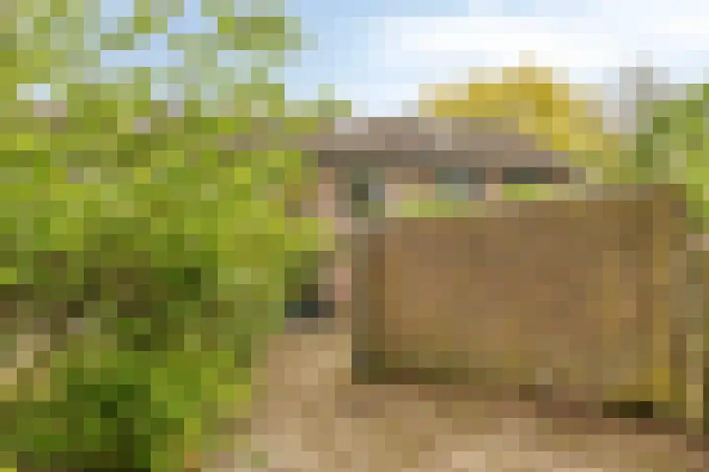 Drenthehof 73 Helmond thumbnail 5