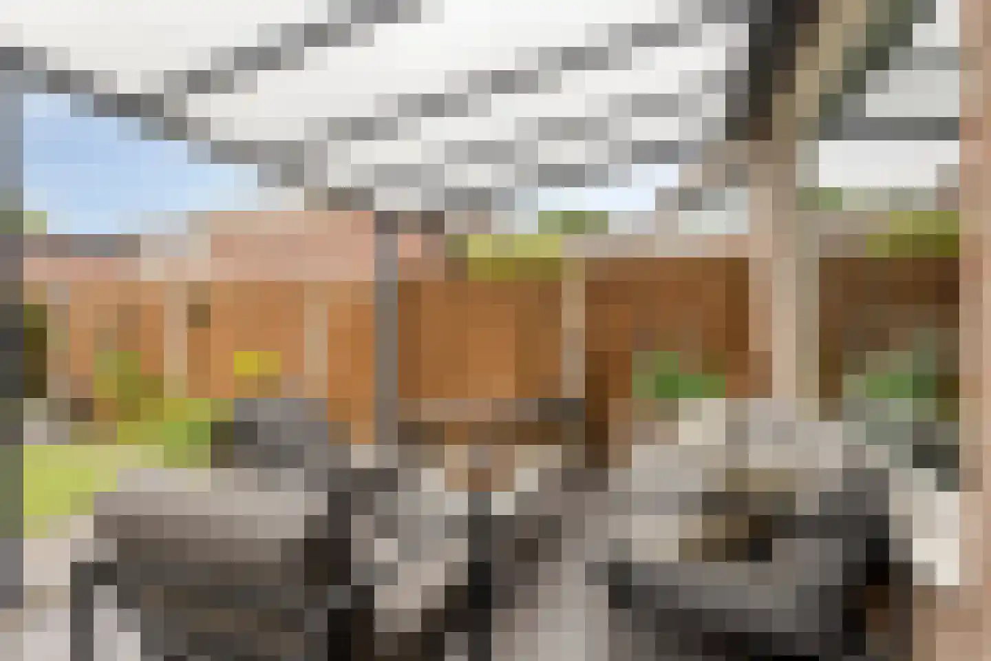 Drenthehof 80 Helmond thumbnail 28