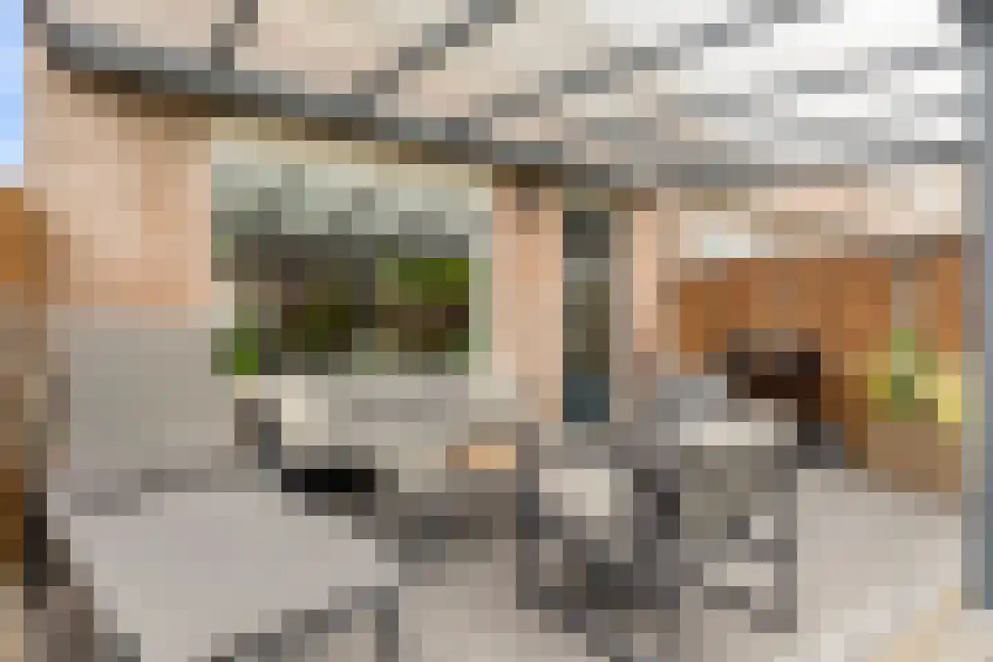 Drenthehof 80 Helmond thumbnail 29