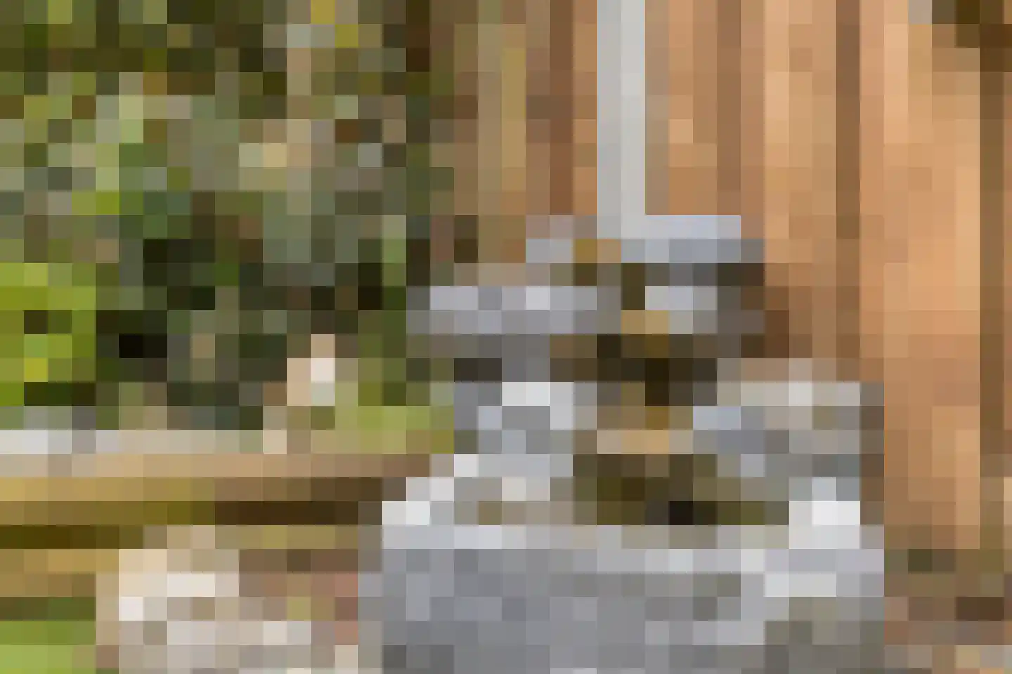 Drenthehof 80 Helmond thumbnail 30