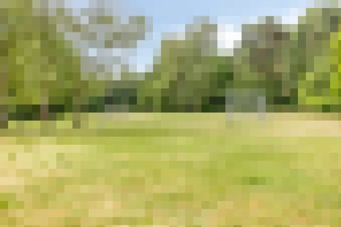 Drenthehof 80 Helmond thumbnail 34