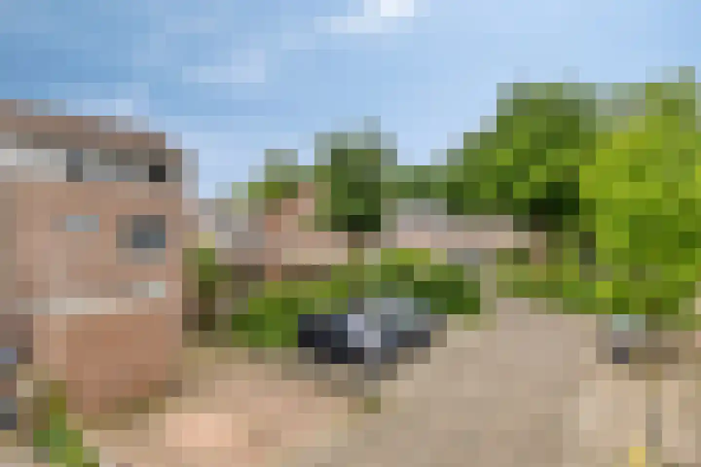 Drenthehof 80 Helmond thumbnail 8