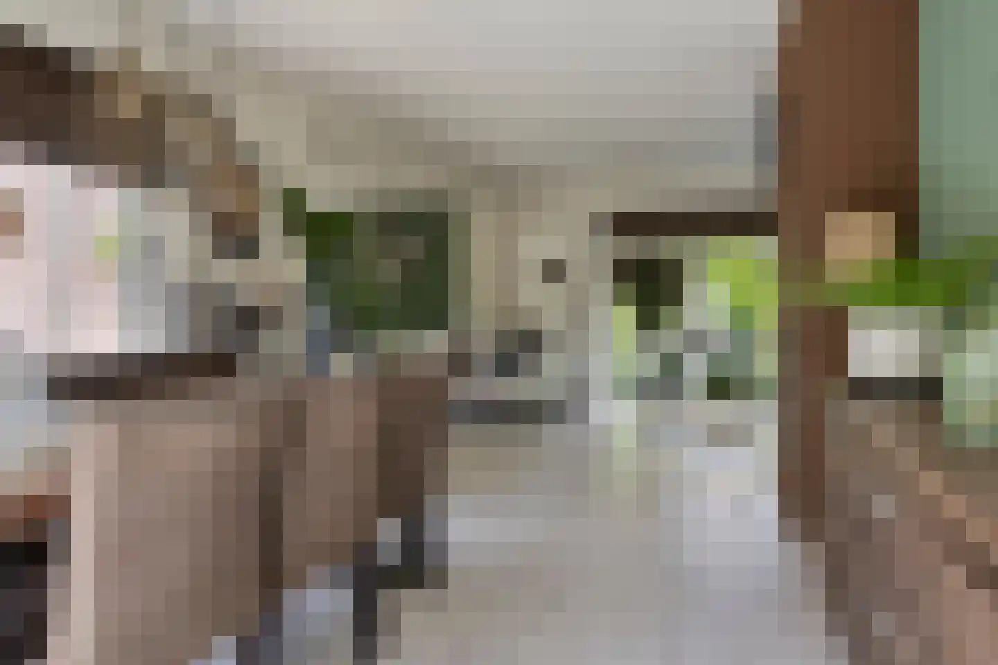 Drenthelaan 10 Veendam thumbnail 16