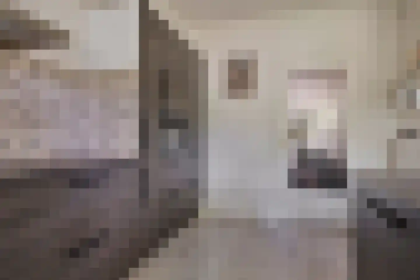 Drenthelaan 10 Veendam thumbnail 22
