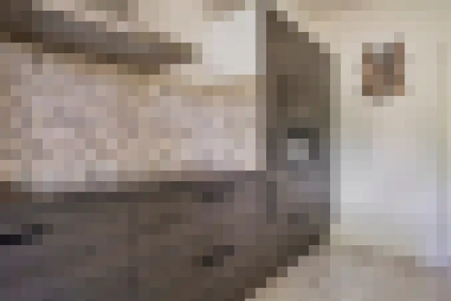 Drenthelaan 10 Veendam thumbnail 23