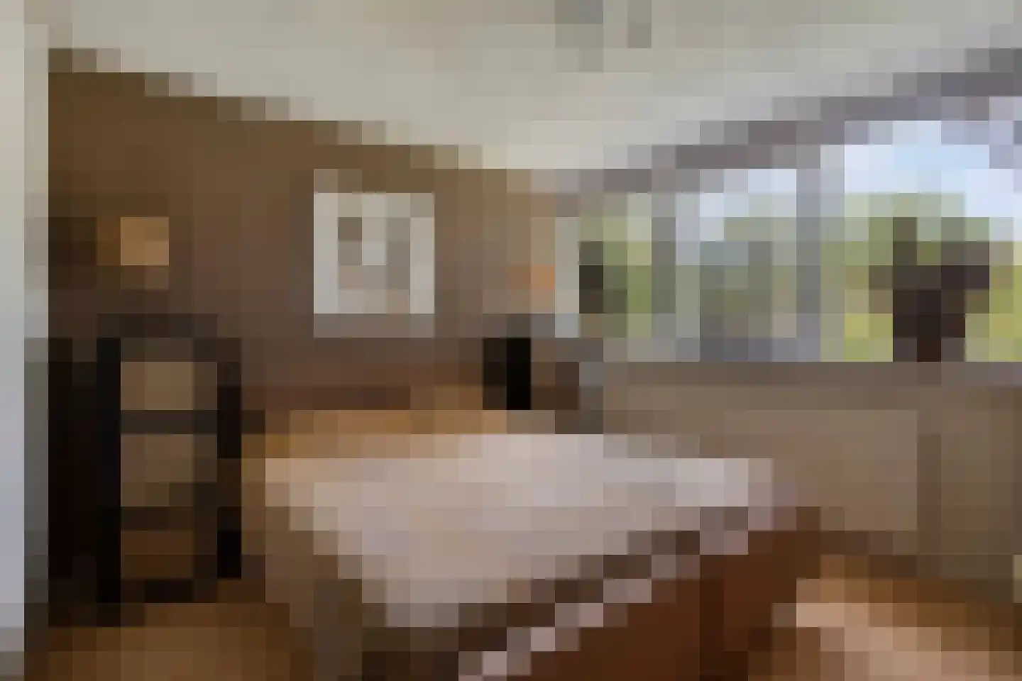 Drenthelaan 10 Veendam thumbnail 28