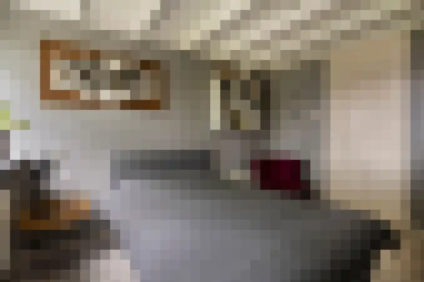 Drenthelaan 10 Veendam thumbnail 30