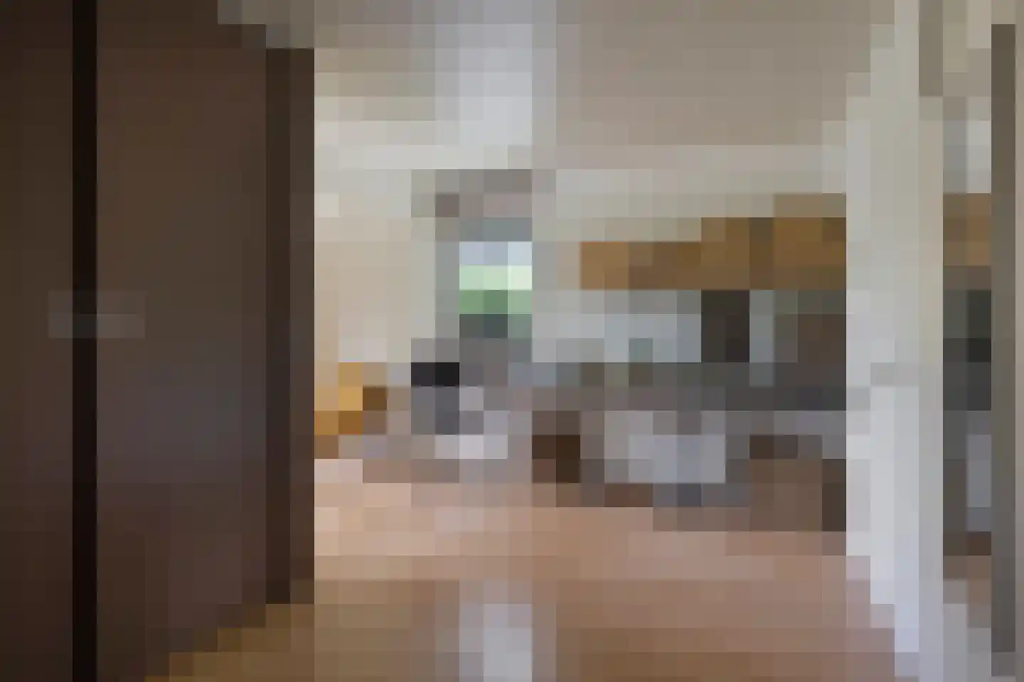 Drenthelaan 10 Veendam thumbnail 33