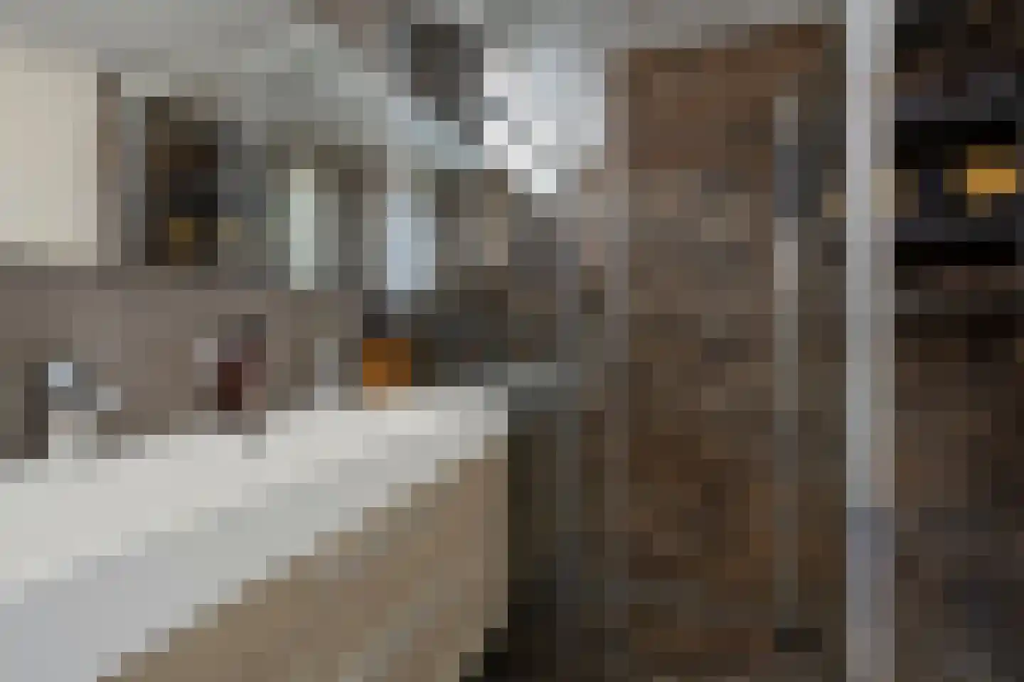 Drenthelaan 10 Veendam thumbnail 36