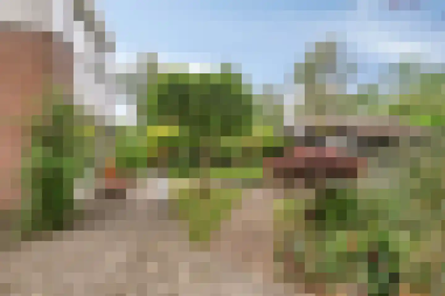 Drenthelaan 10 Veendam thumbnail 40