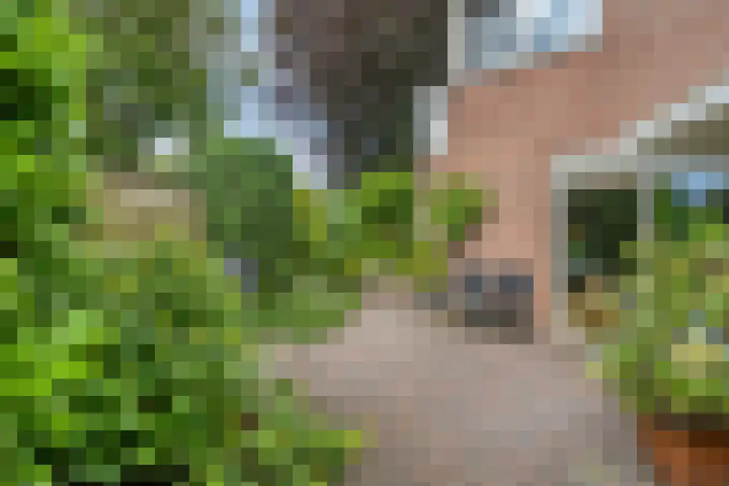 Drenthelaan 10 Veendam thumbnail 41