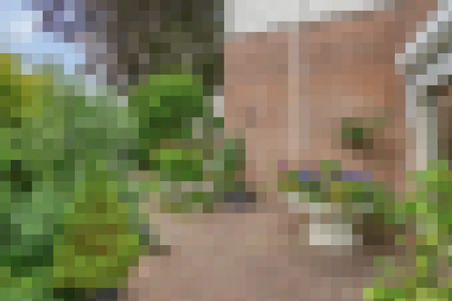 Drenthelaan 10 Veendam thumbnail 42