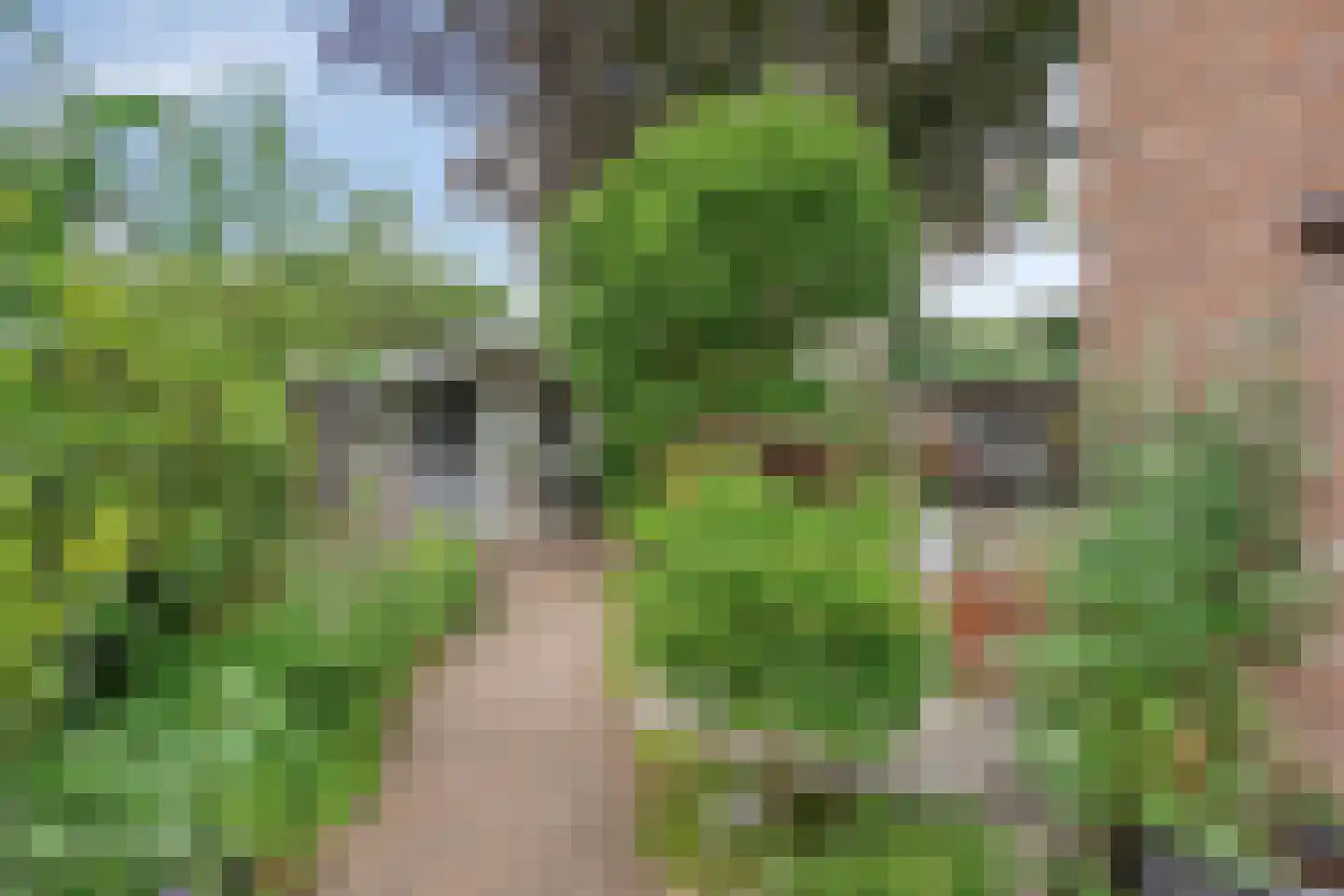 Drenthelaan 10 Veendam thumbnail 43