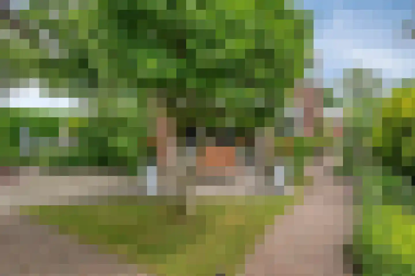Drenthelaan 10 Veendam thumbnail 48