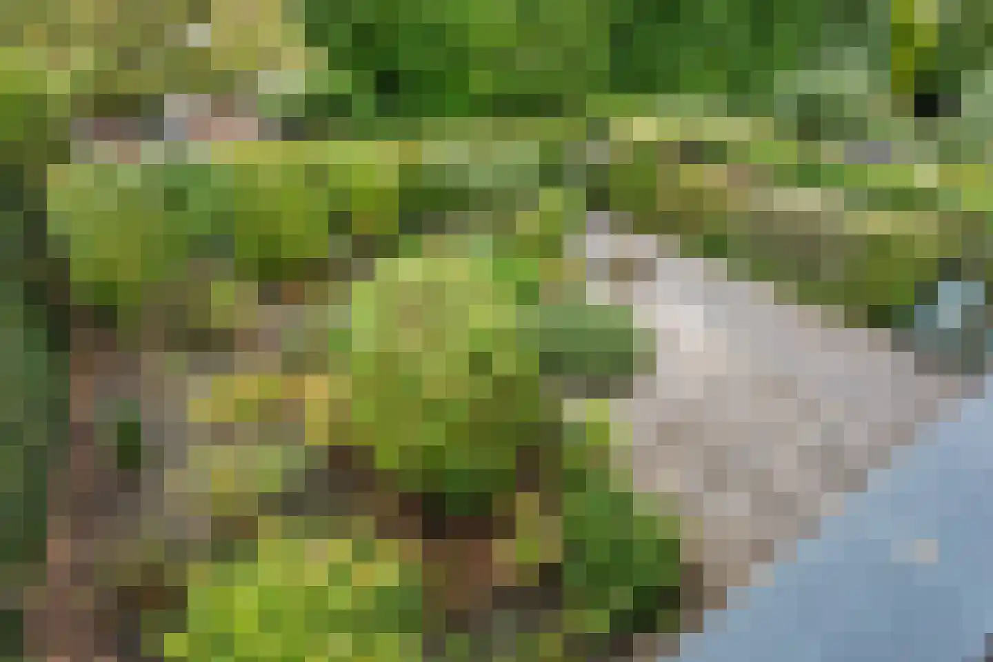 Drenthelaan 30 Veendam thumbnail 30