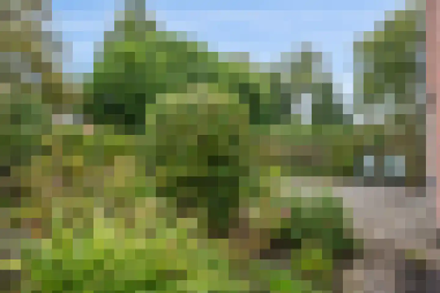 Drenthelaan 30 Veendam thumbnail 31