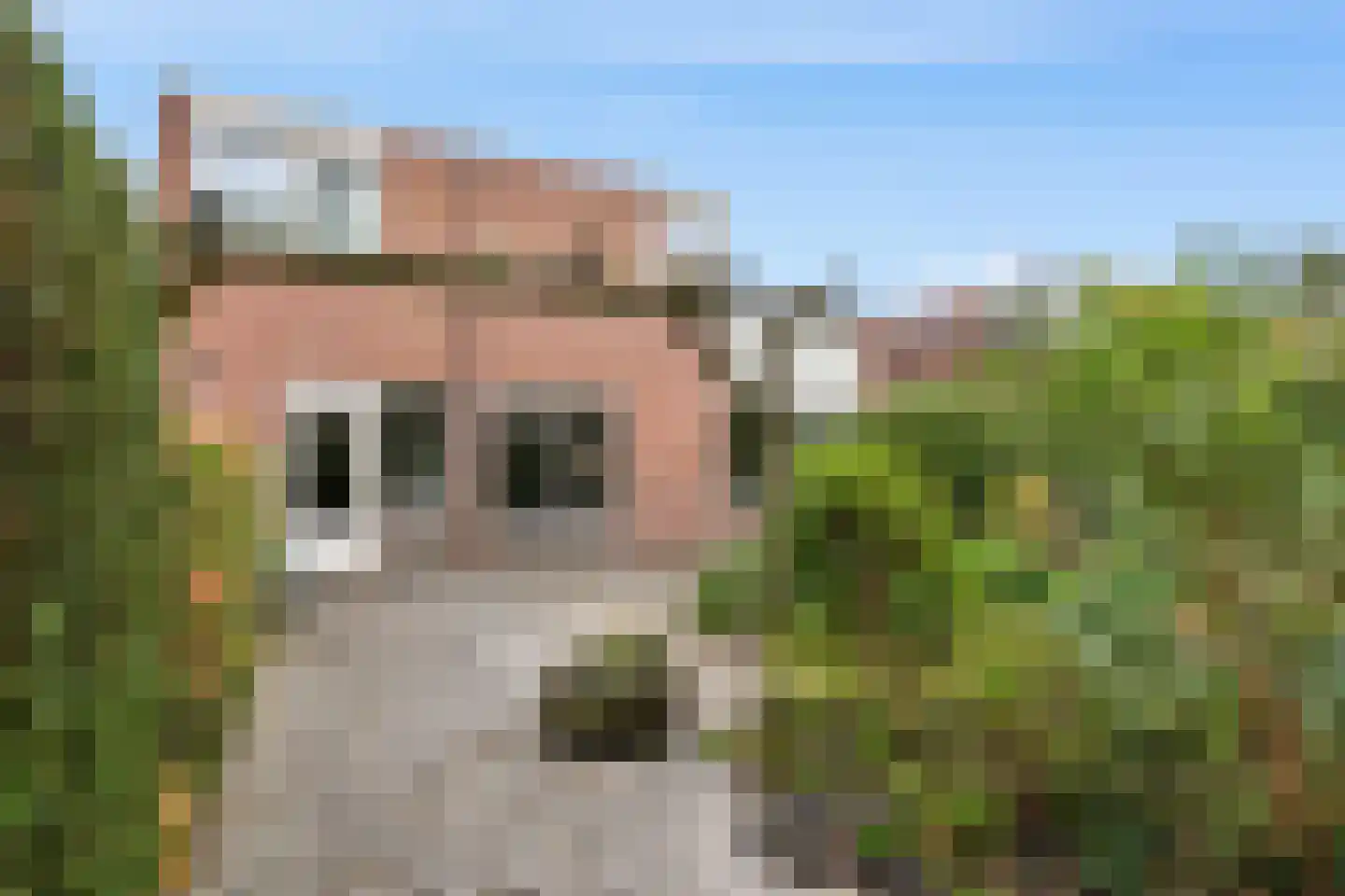 Drenthelaan 30 Veendam thumbnail 33