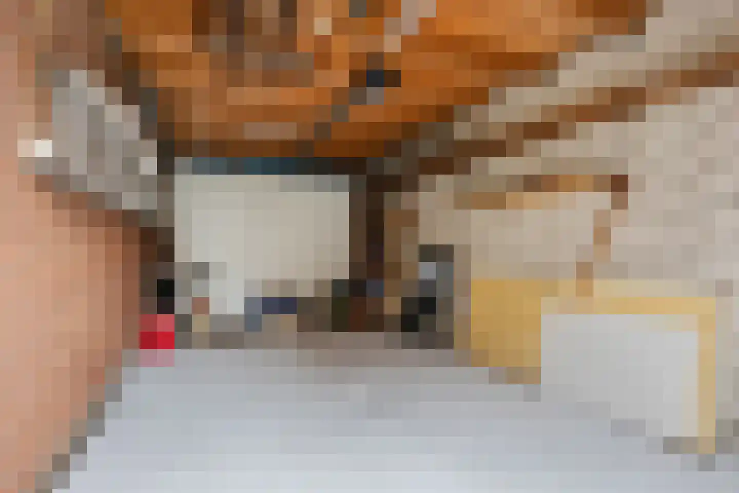 Drenthelaan 30 Veendam thumbnail 36
