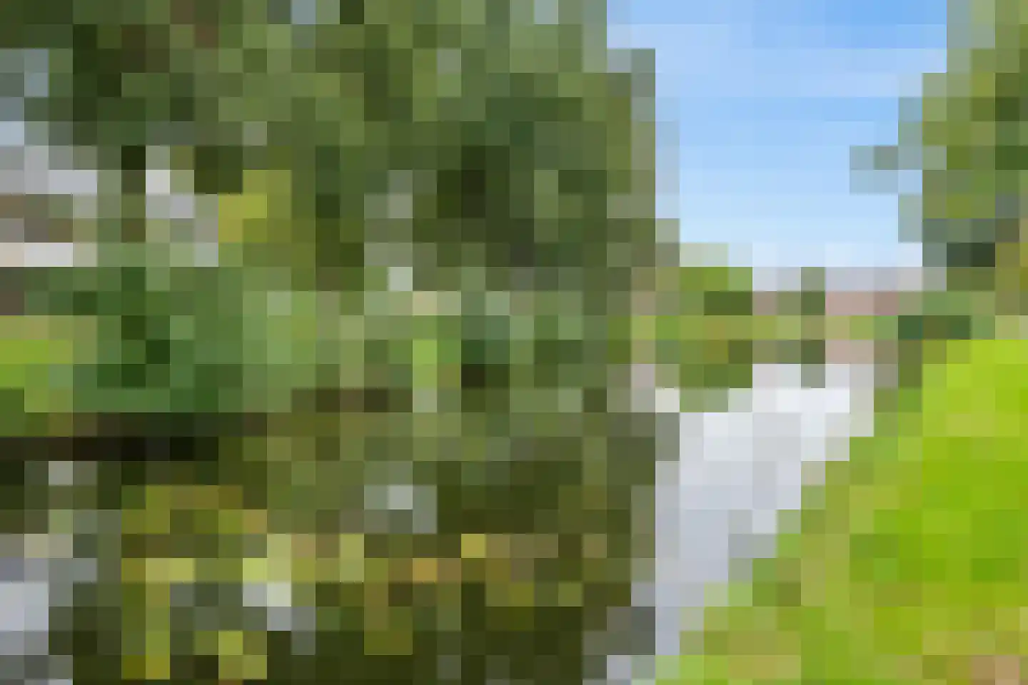 Drenthelaan 30 Veendam thumbnail 41