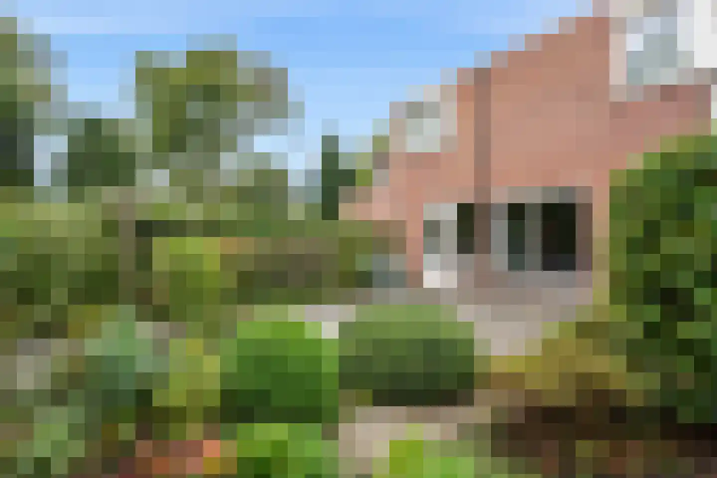 Drenthelaan 30 Veendam thumbnail 6