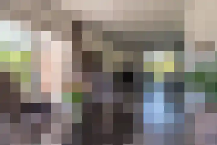 Drenthelaan 36 Veendam thumbnail 11