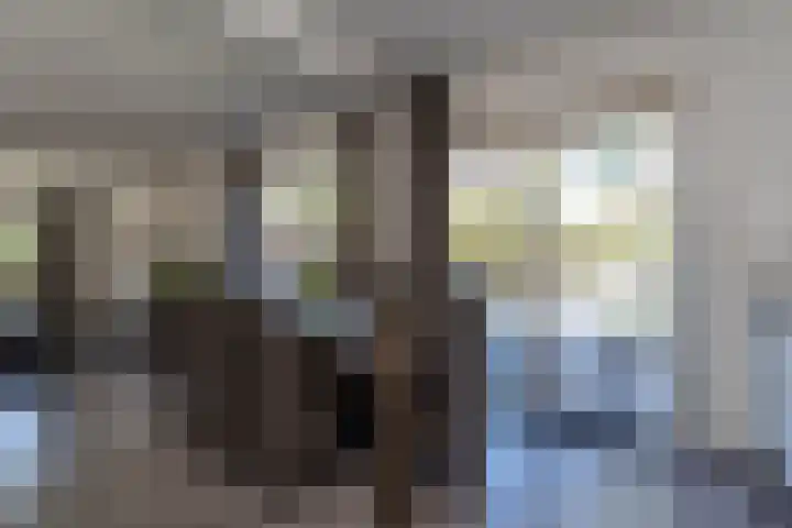 Drenthelaan 36 Veendam thumbnail 12