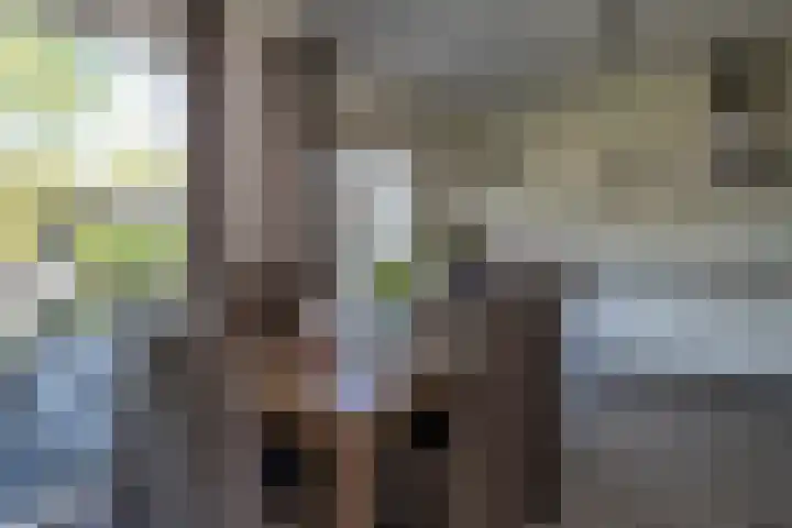Drenthelaan 36 Veendam thumbnail 13