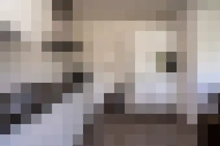 Drenthelaan 36 Veendam thumbnail 15