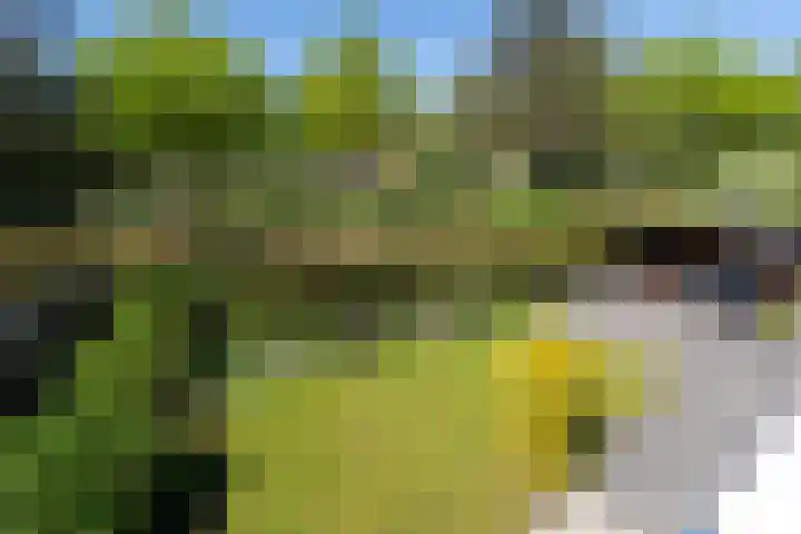 Drenthelaan 36 Veendam thumbnail 23