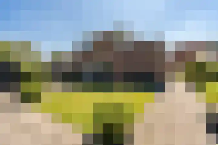 Drenthelaan 36 Veendam thumbnail 35
