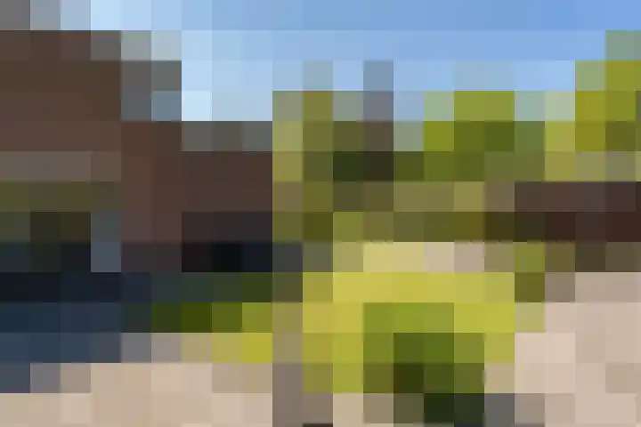 Drenthelaan 36 Veendam thumbnail 38