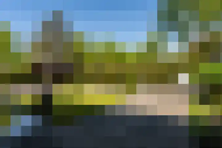 Drenthelaan 36 Veendam thumbnail 39