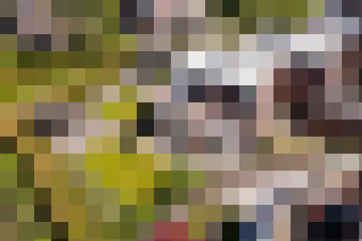Drenthelaan 36 Veendam thumbnail 43