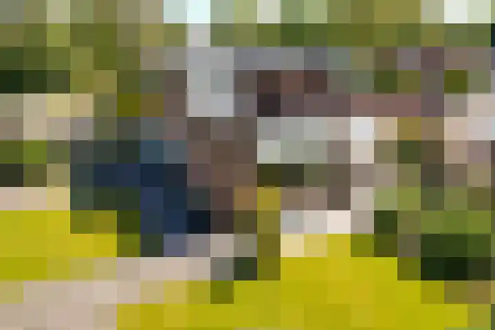 Drenthelaan 36 Veendam thumbnail 44