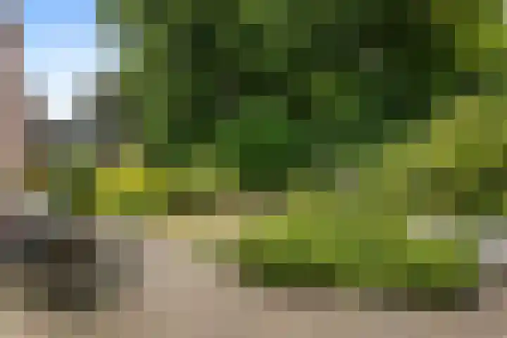 Drenthelaan 4 Veendam thumbnail 27